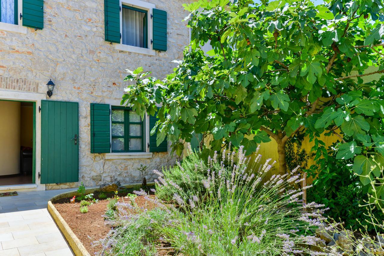 Villa Borgo Erizzo Ζαντάρ Εξωτερικό φωτογραφία